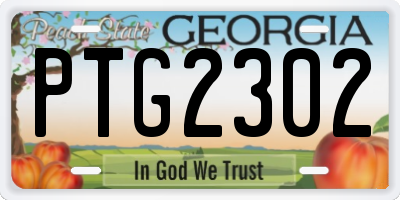 GA license plate PTG2302