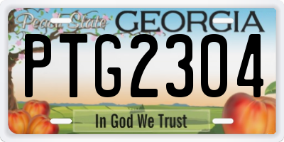 GA license plate PTG2304