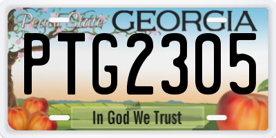 GA license plate PTG2305
