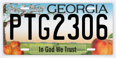 GA license plate PTG2306
