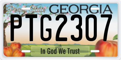 GA license plate PTG2307