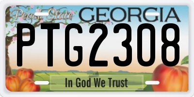 GA license plate PTG2308