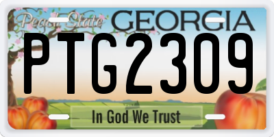 GA license plate PTG2309