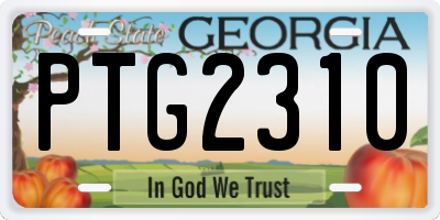 GA license plate PTG2310