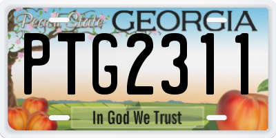 GA license plate PTG2311