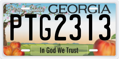 GA license plate PTG2313