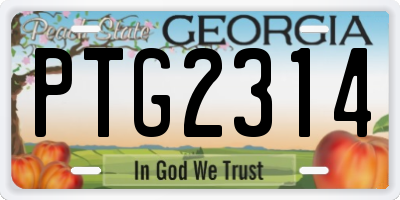 GA license plate PTG2314