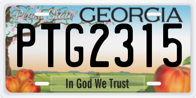 GA license plate PTG2315