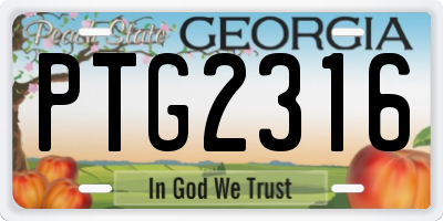 GA license plate PTG2316