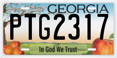 GA license plate PTG2317