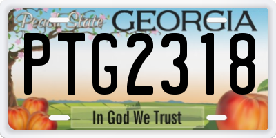 GA license plate PTG2318