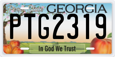 GA license plate PTG2319