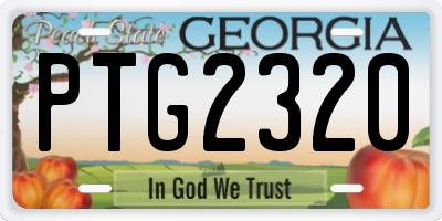 GA license plate PTG2320