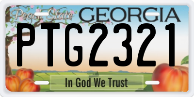 GA license plate PTG2321