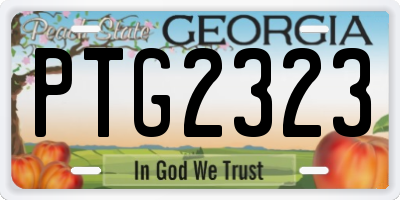 GA license plate PTG2323