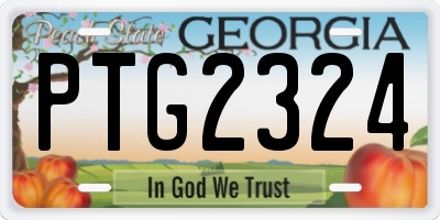 GA license plate PTG2324