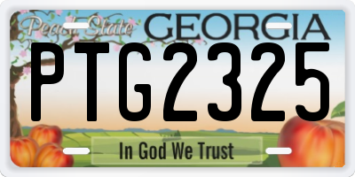 GA license plate PTG2325