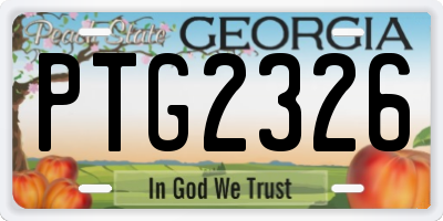 GA license plate PTG2326