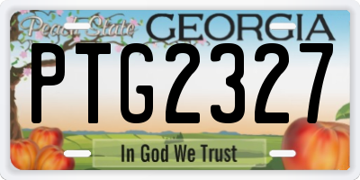 GA license plate PTG2327