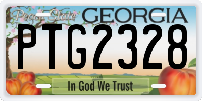 GA license plate PTG2328