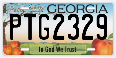 GA license plate PTG2329