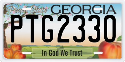 GA license plate PTG2330