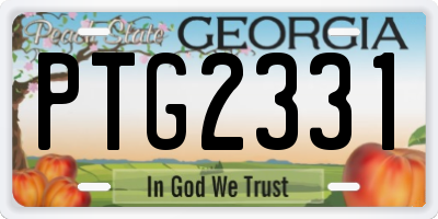 GA license plate PTG2331