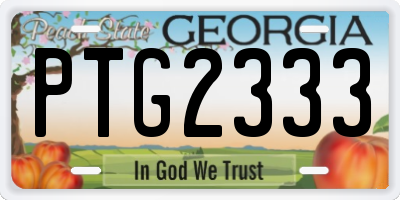 GA license plate PTG2333