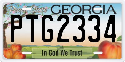GA license plate PTG2334