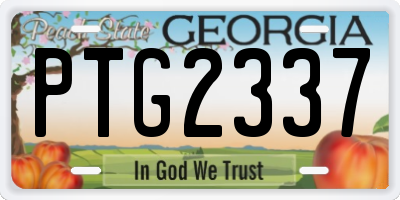 GA license plate PTG2337