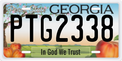 GA license plate PTG2338