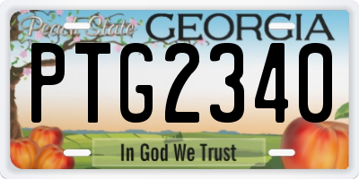 GA license plate PTG2340