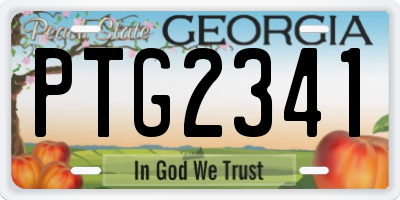 GA license plate PTG2341