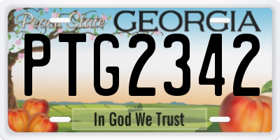 GA license plate PTG2342