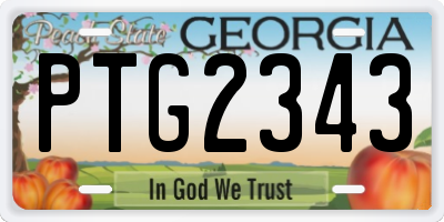 GA license plate PTG2343