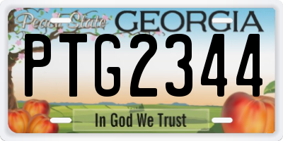 GA license plate PTG2344