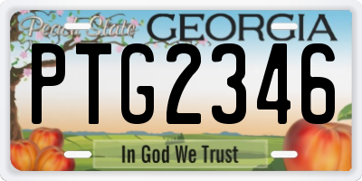 GA license plate PTG2346