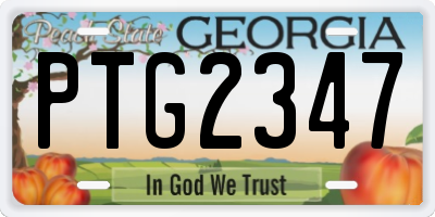 GA license plate PTG2347