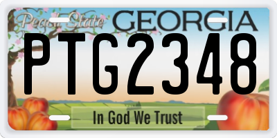 GA license plate PTG2348