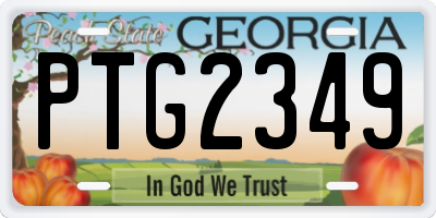 GA license plate PTG2349