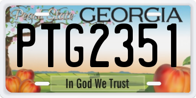 GA license plate PTG2351