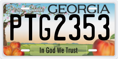 GA license plate PTG2353