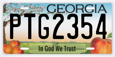 GA license plate PTG2354