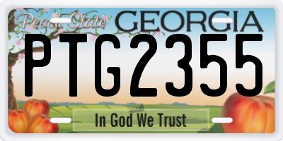 GA license plate PTG2355