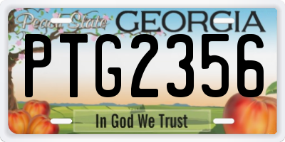 GA license plate PTG2356