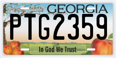 GA license plate PTG2359