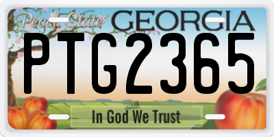 GA license plate PTG2365
