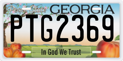 GA license plate PTG2369