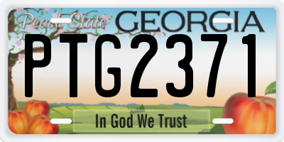 GA license plate PTG2371