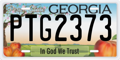 GA license plate PTG2373